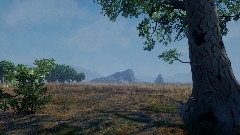 Field