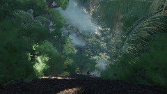 Jungle real Cutscene