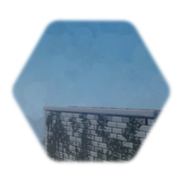 Smaller Less Mossy Guard Wall - 5/16/2019