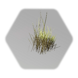 Tall grass