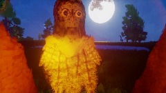 Intro to 4 owl intro