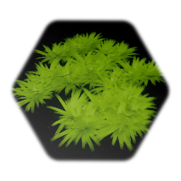 Patch of thick grass