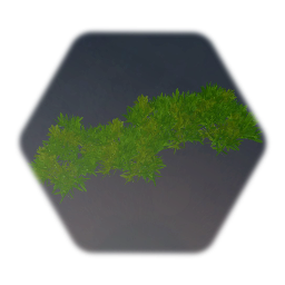 Moss - Spha gnum Moss