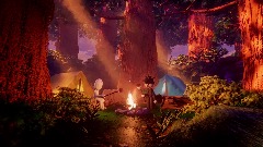 Blank & Mute Camping In The RedWoods