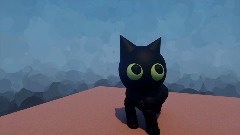I made my cat