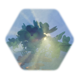 Clover Patch