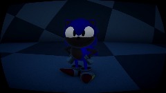 Sonic Xtreme Thing