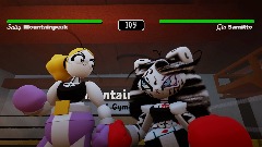 Sally Mountainpeak Fighting Game Demo (WIP)
