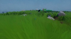 Blu's backyard adventure