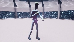 The Karate black Belt