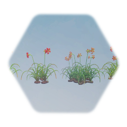 Orange and Red Day-lilly