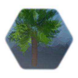 Basic Tree
