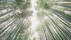 A screenshot taken in Dreams. 26 of 30.