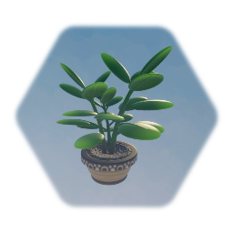 Home Decor - Indoor Plant