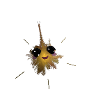 Cedrusel