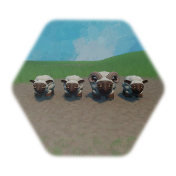 Kinda Sheeps