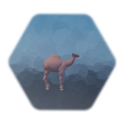 Camel Revised