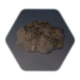 Leaf Litter Dirt Ground