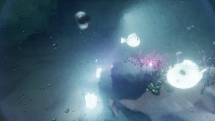 A2: SU 06 - The Underwater Reef Road's Glowing Stockpile