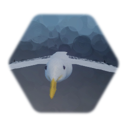 Seagull In-Flight (Animated)