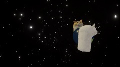 Cat in space