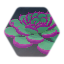 Succulent 05