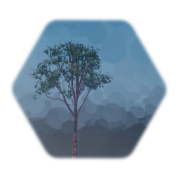 San Francisco Assets