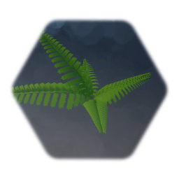Fern