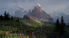 Mountain Bloom