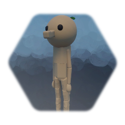 Woko V2 Model