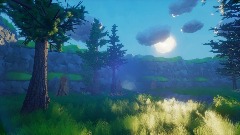 A walk in the forest