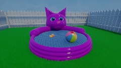 Stupid Kitty Pool with Water Physics