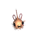 FishKillerTX