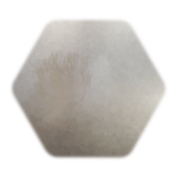 Web (Dangley Bits) - 18/5/2019