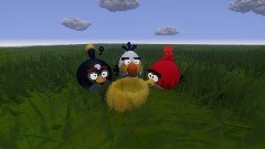 Angry birds Cutscene