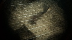 HOME VIDEO_HIDE AND SEEK