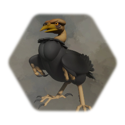 Cool DV Random Stuff