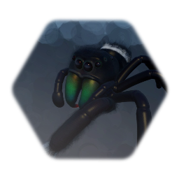 Bold Jumping Spider (WIP)