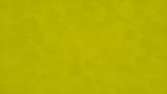 Dani_pampa Games TOONS intro