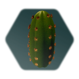 Community Garden 6: Cacti