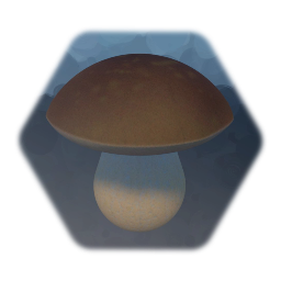 Boletus Mushroom