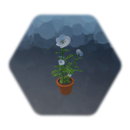 Potted Plant