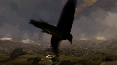 Flying Bird VR experience