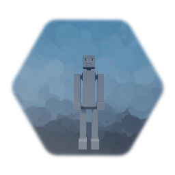 Rab Donn Ragdoll man