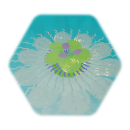 Flora, fungi and corals