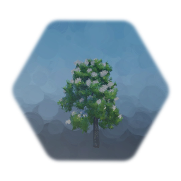 Low thermo Japanese lilac tree