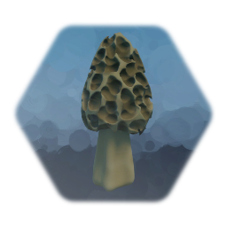Morel