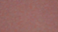 Happy birthday freakzilla