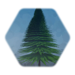 Pine/Tanne