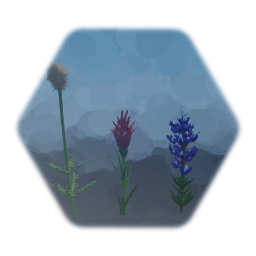 Northern Mountain Flowers